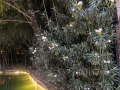 -包公祠