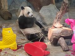 -海南热带野生动植物园