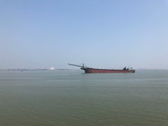-大湾区中央湿地公园