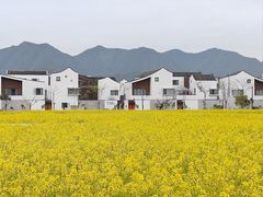 -东梓关景区村庄