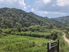 -会稽山峡洞漂流-上青古道