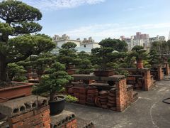 -宋庆龄陵园