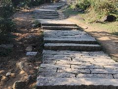 -大姆山草场
