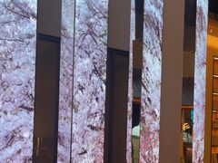 -桂满陇·海市蜃楼·黑金(国金店)