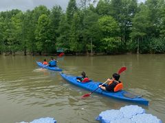 -上海长兴岛郊野公园