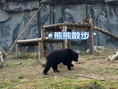 -武汉动物园