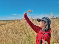 -亿利库布其七星湖沙漠生态旅游区