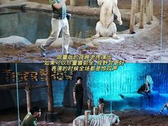 -清迈夜间动物园