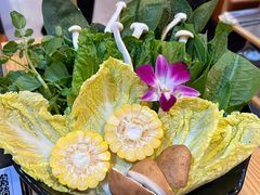 -淼福猪肚鸡·椰子鸡火锅(大沙地店)