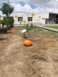 -前小桔亲子创意农场·草莓采摘·露营烧烤