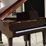 博物馆商场K11，逛街还能看展览[加油]