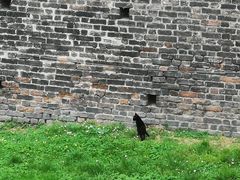 -斯福尔扎古堡