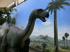 -国家自然博物馆