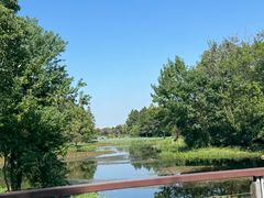 -长广溪湿地公园
