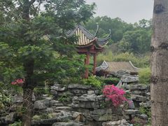 -顺峰山公园
