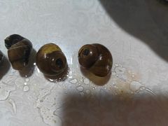 -呼吸森林·生态农庄农家乐私房菜