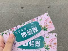 -鹅湖玫瑰文化园