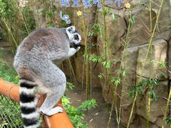 -北京野生动物园