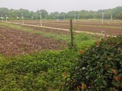 -上膳源有机农场