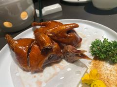 -粤凤佬