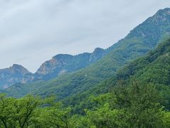 -泰山风景名胜区