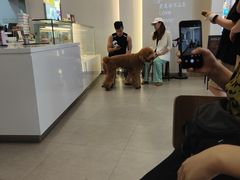 -糖纸甜品(印象城店)