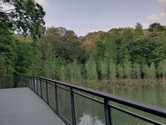 -广州市白云山风景名胜区