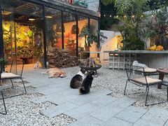 -自由生长植物工作室(深港花卉中心店)