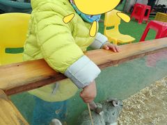 -新地休闲农场