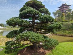 -丰都鬼城名山景区