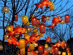 -龙湖星悦荟(颐和店)