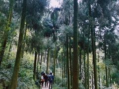 -青城山