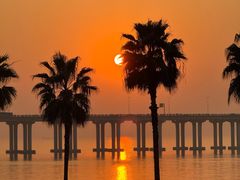 -宝安西湾红树林湿地公园