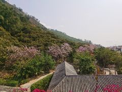-小南山公园