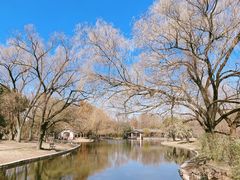 -上海共青森林公园