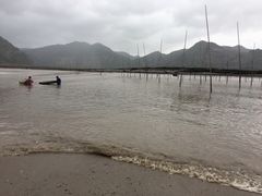 景点-北岐滩涂