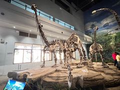 -自贡恐龙博物馆