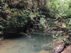 -怀托摩萤火虫洞