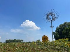 -苏州湾体育公园