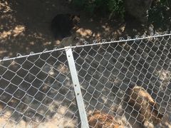 -石家庄市动物园