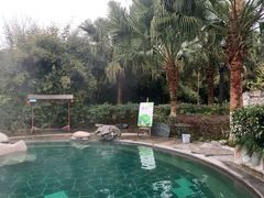 -雅安楠水阁温泉酒店