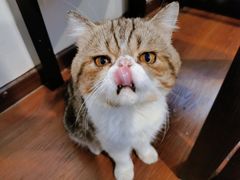 -参差咖啡(水果湖公园店)