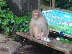 -黔灵山公园