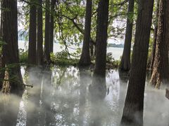 -东湖落雁景区