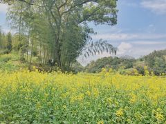 -新安江山水画廊风景区