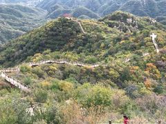 -大岭沟猕猴桃谷风景区