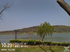 -羊山湖公园