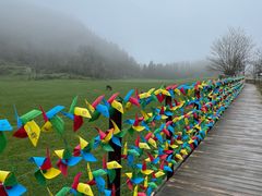 -武陵山森林公园