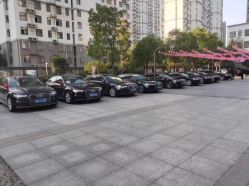 -蚂蚁婚车