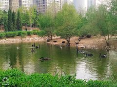 -长白岛森林公园